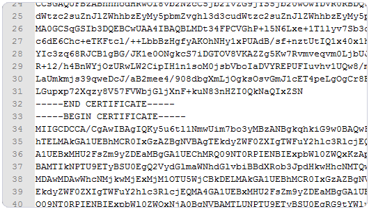 COMODO PositiveSSL合并SSL证书